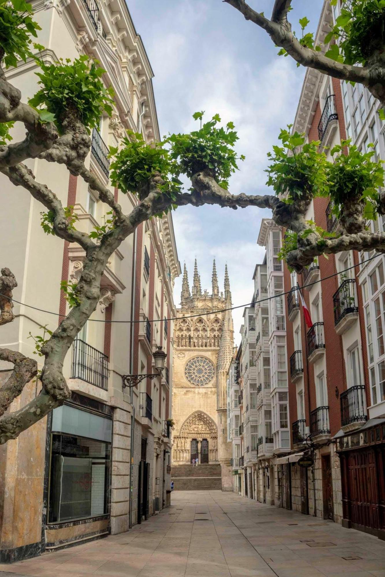Apartamento Dali'S Sanctuary In Granada - Private Parking Free Exterior foto